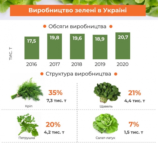 
Украинцы переходят на здоровое питание: потребление зелени сильно выросло
