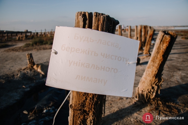 ОГА заплатит 776 тысяч за исследования Куяльника: зачем они нужны