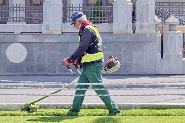 За год работу через центры занятости нашли более полумиллиона украинцев: популярные направления
За год работу через центры занятости нашли более полумиллиона украинцев: популярные направления