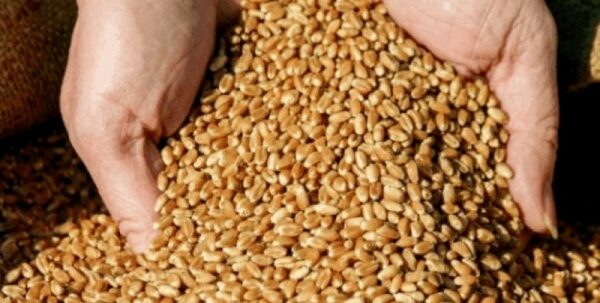 «Себя прокормим»: у Зеленского оценили запасы продуктов в Украине «Себя прокормим»: у Зеленского оценили запасы продуктов в Украине
