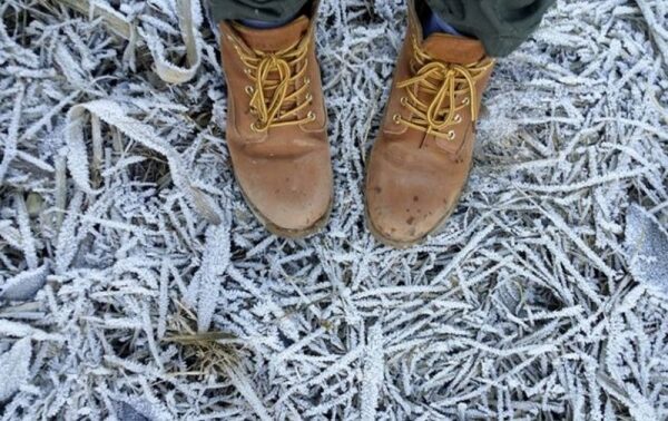В Украину вернутся заморозки: где будет холоднее всего В Украину вернутся заморозки: где будет холоднее всего
