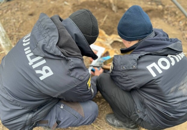 Под Одессой мужчина застрелил соседскую собаку и закопал ее у себя во дворе