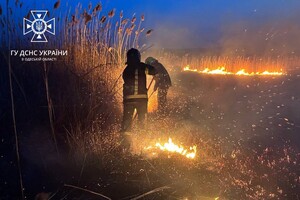 В Суворовском районе Одессы горели поля фильтрации: подробности пожара