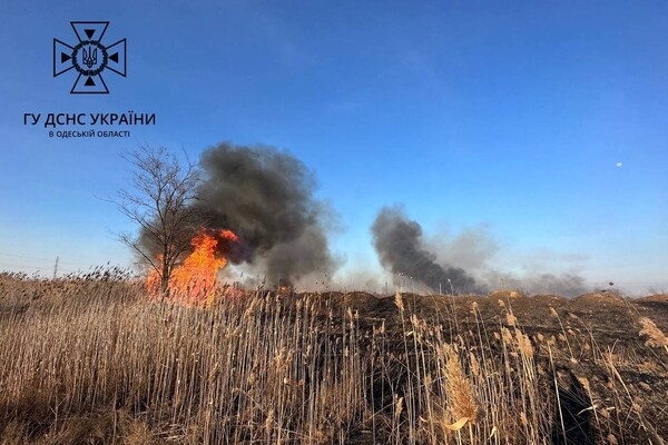 В Суворовском районе Одессы горели поля фильтрации: подробности пожара