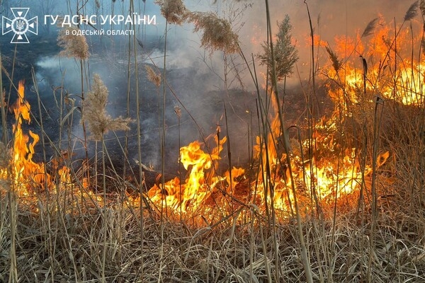 В Суворовском районе Одессы горели поля фильтрации: подробности пожара