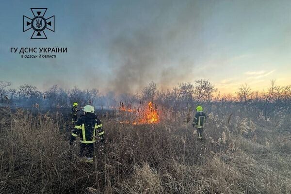 В Суворовском районе Одессы горели поля фильтрации: подробности пожара