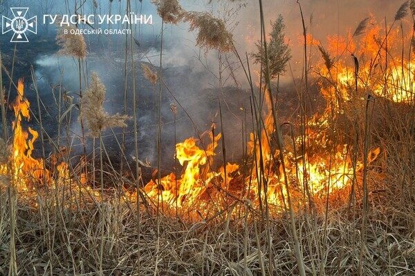 В Суворовском районе Одессы горели поля фильтрации: подробности пожара