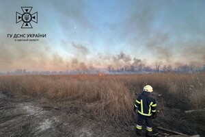 В Суворовском районе Одессы горели поля фильтрации: подробности пожара