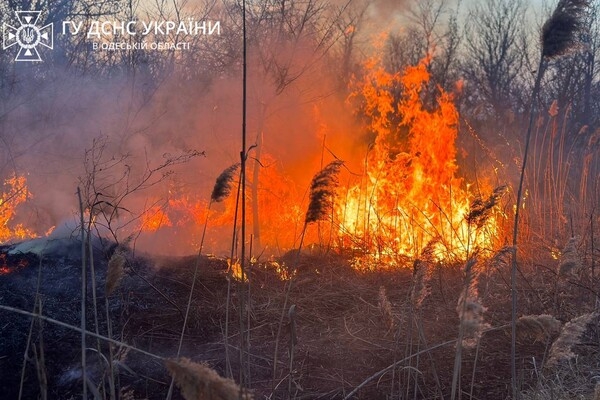 В Суворовском районе Одессы горели поля фильтрации: подробности пожара
