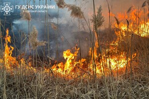 В Суворовском районе Одессы горели поля фильтрации: подробности пожара
