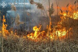 В Суворовском районе Одессы горели поля фильтрации: подробности пожара
