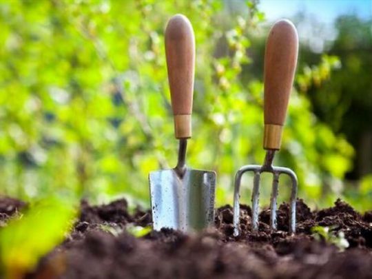 У травні буде три дні, коли нічого не можна ні сіяти, ні садити: календар городника на останній місяць весни