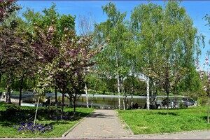 В Одесском ботсаду и парке Победы цветут сакуры: как это красиво В Одесском ботсаду и парке Победы цветут сакуры: как это красиво