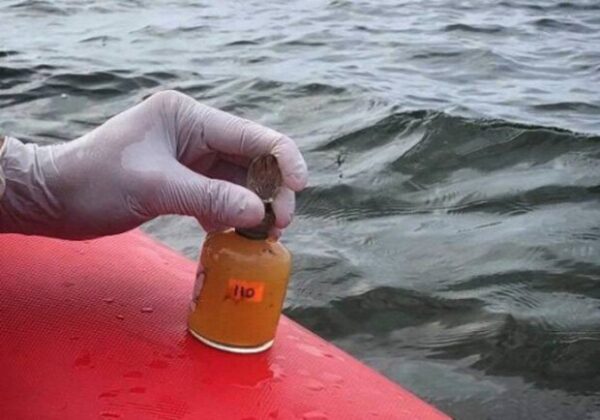 Свежий мониторинг воды в Одессе: что известно на 8 июля