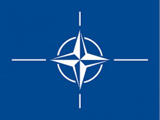 Україна не буде розчарована самітом НАТО, — президент Литви