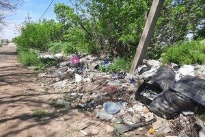 Возле одного из ЖК Одессы обнаружили незаконную свалку