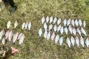 Выловил рыбы на 300 тысяч гривен: в Одесской области задержали браконьера Выловил рыбы на 300 тысяч гривен: в Одесской области задержали браконьера