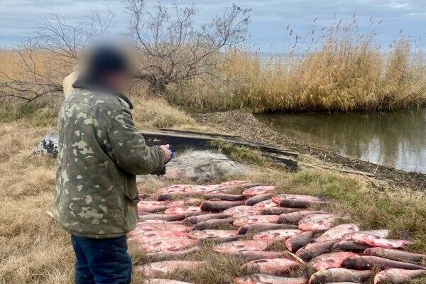 Выловил рыбы на 300 тысяч гривен: в Одесской области задержали браконьера Выловил рыбы на 300 тысяч гривен: в Одесской области задержали браконьера