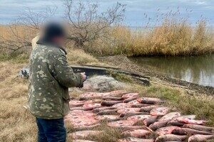 Выловил рыбы на 300 тысяч гривен: в Одесской области задержали браконьера Выловил рыбы на 300 тысяч гривен: в Одесской области задержали браконьера