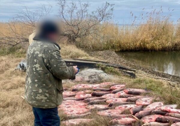Выловил рыбы на 300 тысяч гривен: в Одесской области задержали браконьера Выловил рыбы на 300 тысяч гривен: в Одесской области задержали браконьера