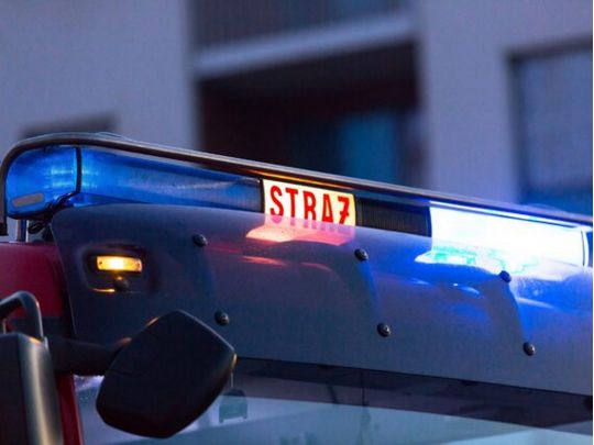 15-річний чеський школяр втік з дому, щоб воювати в Україні