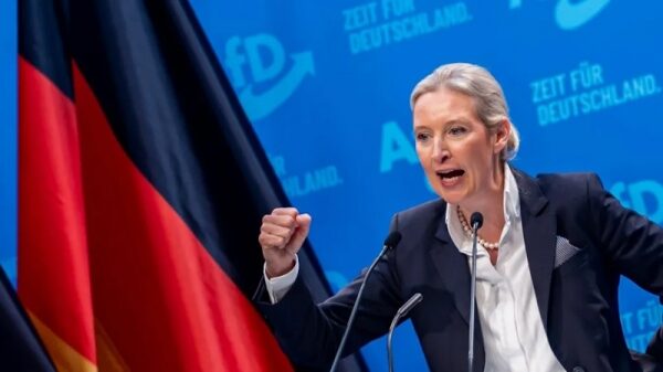 АдГ поддерживает массовую депортацию мигрантов перед выборами в Германии АдГ поддерживает массовую депортацию мигрантов перед выборами в Германии
