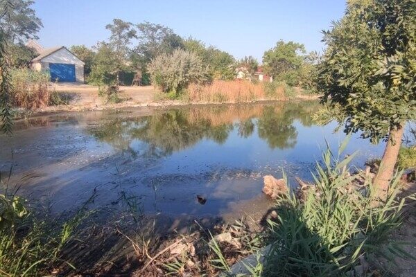 Замор рыбы и смрад в водоеме в Одесской области: что показали анализы