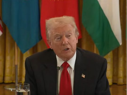 Трамп зробив несподівану заяву про прогрес у війні в Україні