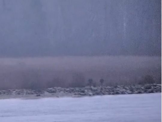 Кордон на замку? Російські прикордонники без проблем проникли на територію Естонії (фото, відео)