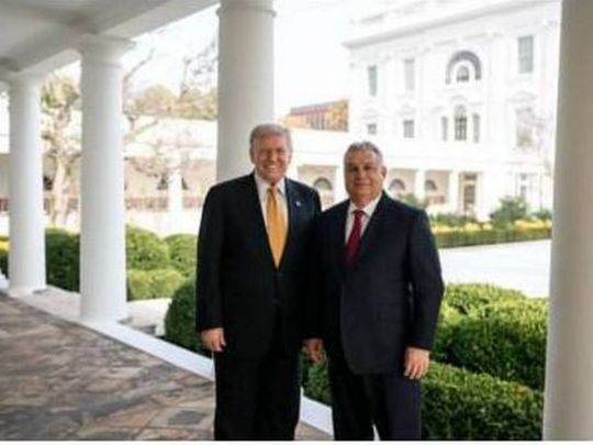 Трамп втрутився у вибори в Угорщині: публічно закликав голосувати за Орбана