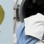 Як приправу, яка є на кожній кухні, наші бабусі використовували для… прання: забутий лайфхак