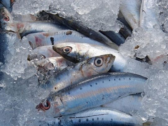 Корисна, дешева і доступна кожному: яку рибу треба додати до раціону